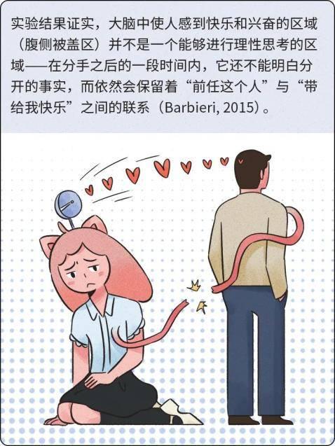 不准欺骗我们,探寻诚信的力量