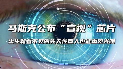 重见光明2024,展望未来，共创辉煌新篇章